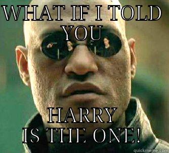 WHAT IF I TOLD YOU HARRY IS THE ONE! Matrix Morpheus