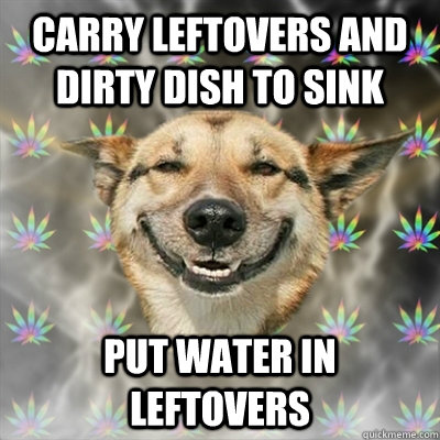 Carry leftovers and dirty dish to sink put water in leftovers  Stoner Dog