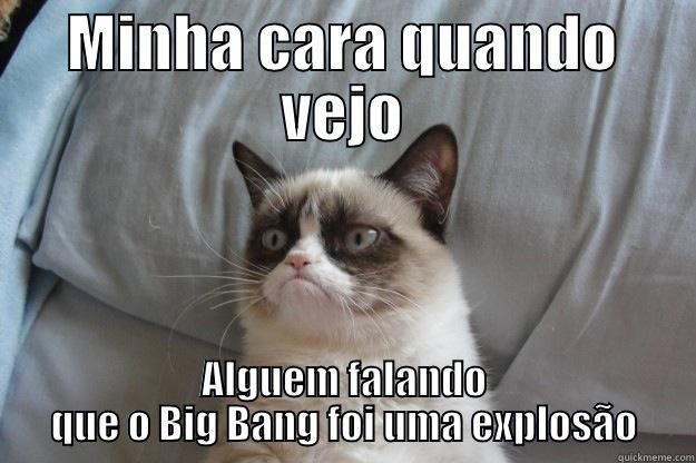 MINHA CARA QUANDO VEJO ALGUEM FALANDO QUE O BIG BANG FOI UMA EXPLOSÃO Grumpy Cat