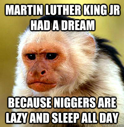 martin luther king jr had a dream because niggers are lazy and sleep all day  
