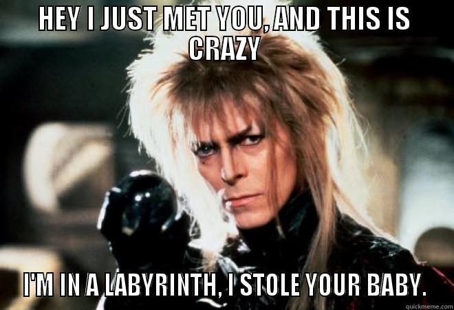 HEY I JUST MET YOU, AND THIS IS CRAZY I'M IN A LABYRINTH, I STOLE YOUR BABY. Misc