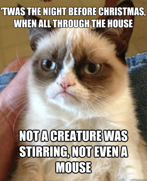'Twas the night before Christmas, when all through the house
 Not a creature was stirring, not even a mouse  Grumpy Cat