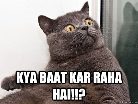  Kya baat kar raha hai!!?   conspiracy cat