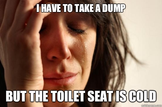 I have to take a dump But the toilet seat is cold  First World Problems
