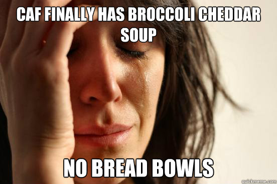 Caf finally has broccoli cheddar soup No bread bowls  First World Problems