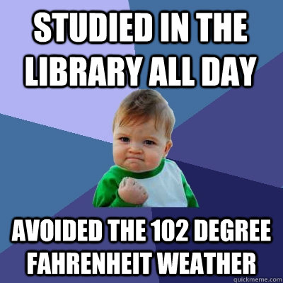 studied in the library all day avoided the 102 degree Fahrenheit weather  Success Kid