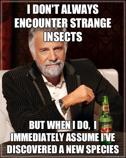 I don't always encounter strange insects But when i do,  I immediately assume I've discovered a new species   The Most Interesting Man In The World