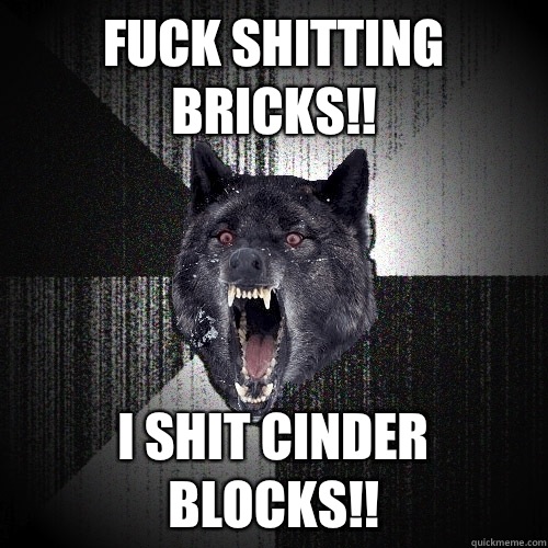 Fuck shitting bricks!! I shit CINDER BLOCKS!!  Insanity Wolf