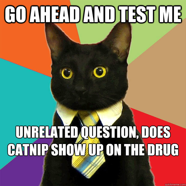 Go ahead and test me  unrelated question, does catnip show up on the drug test ?  Business Cat