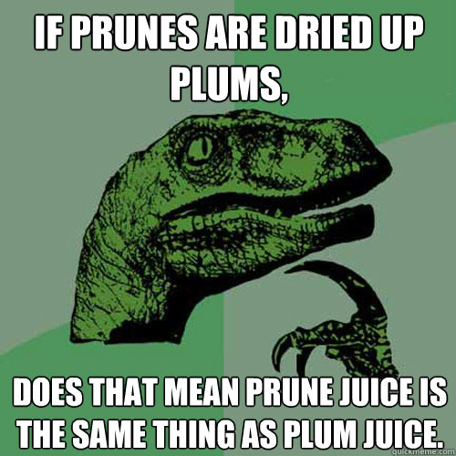 If prunes are dried up plums, Does that mean prune juice is the same thing as plum juice. - If prunes are dried up plums, Does that mean prune juice is the same thing as plum juice.  Philosoraptor