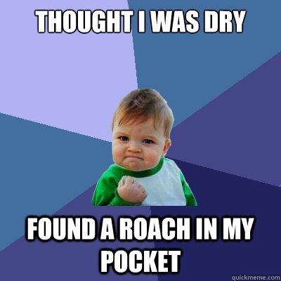 thought i was dry found a roach in my pocket  Success Kid