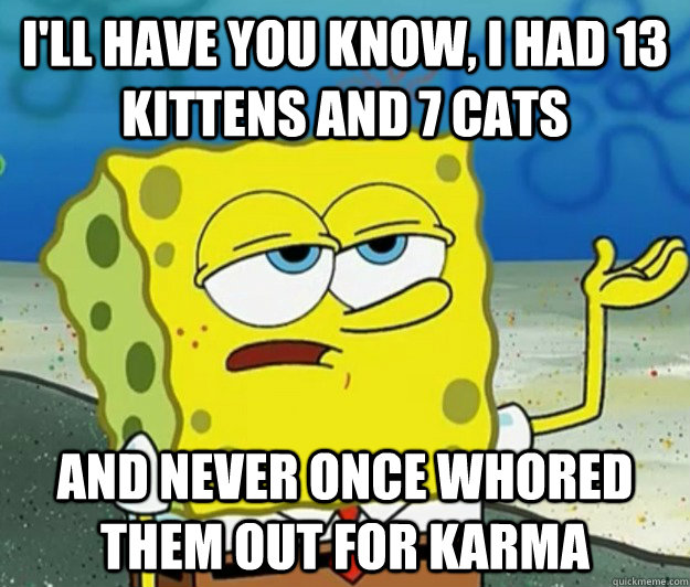 I'll have you know, I had 13 kittens and 7 cats And never once whored them out for karma  Tough Spongebob