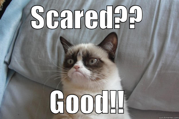 SCARED?? GOOD!! Grumpy Cat