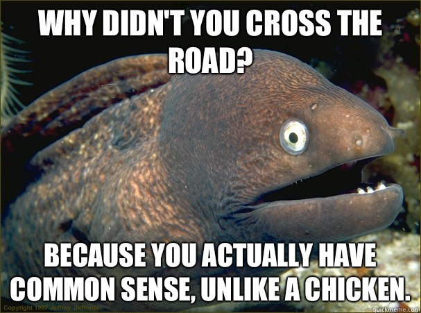 Why didn't you cross the road? Because you actually have common sense, unlike a chicken.  Bad Joke Eel