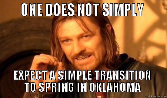      ONE DOES NOT SIMPLY      EXPECT A SIMPLE TRANSITION TO SPRING IN OKLAHOMA Boromir