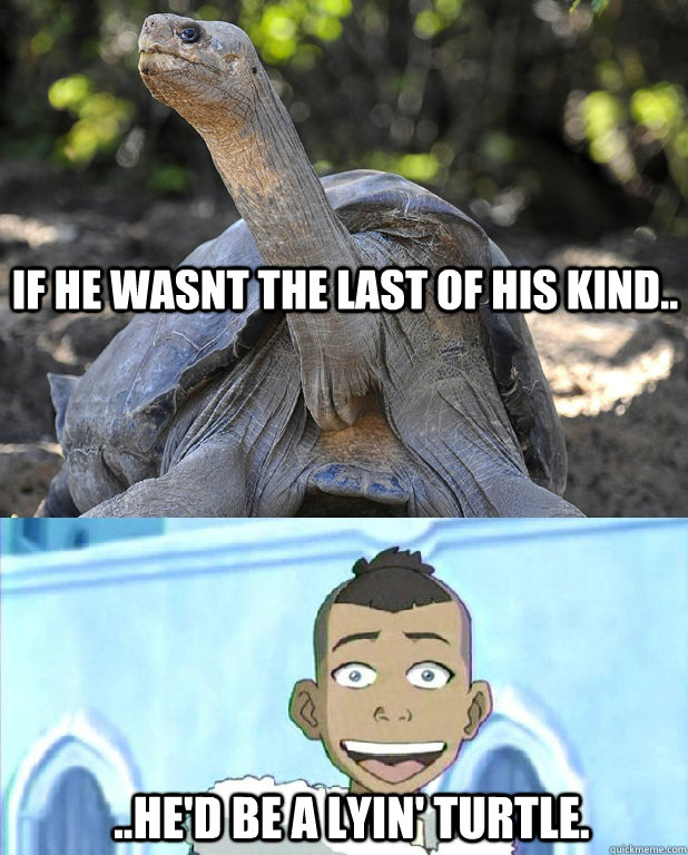 If he wasnt the last of his kind.. ..he'd be a lyin' turtle. - If he wasnt the last of his kind.. ..he'd be a lyin' turtle.  Sokka Pun
