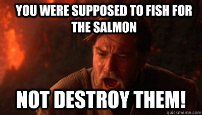 You were supposed to fish for the salmon not destroy them!   Epic Fucking Obi Wan