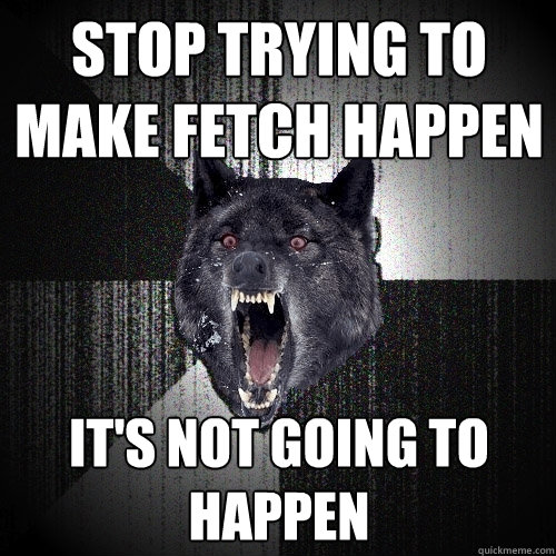 STOP TRYING TO MAKE FETCH HAPPEN IT'S NOT GOING TO HAPPEN  Insanity Wolf