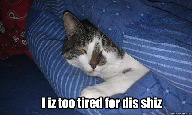 I iz too tired for dis shiz  Sleepy cat