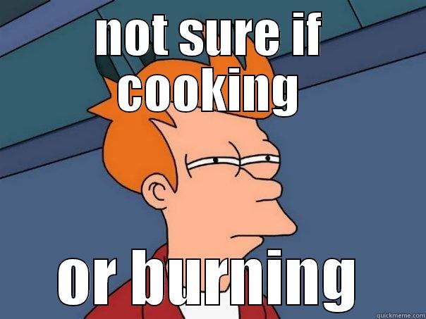 NOT SURE IF COOKING OR BURNING Futurama Fry