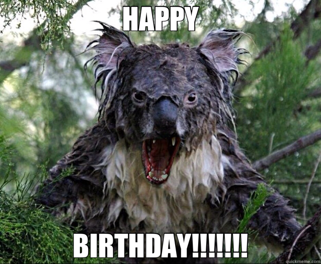 HAPPY BIRTHDAY!!!!!!!  Wet Koala