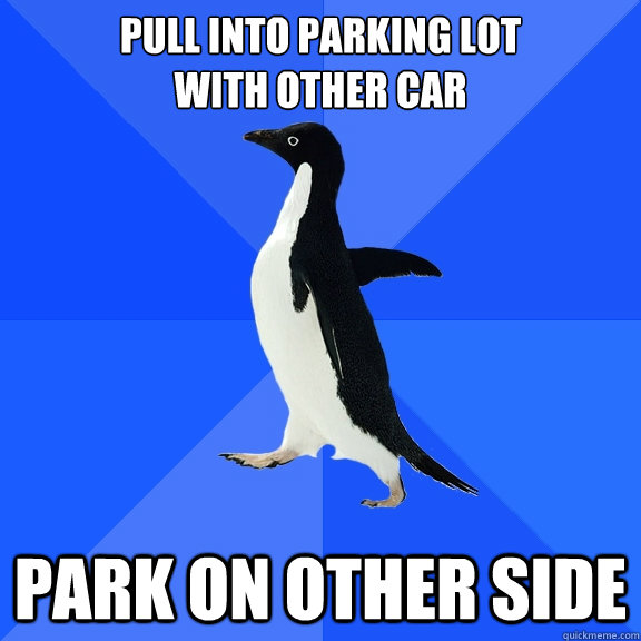 pull into parking lot
with other car park on other side  Socially Awkward Penguin