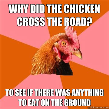 why did the chicken cross the road? to see if there was anything to eat on the ground  Anti-Joke Chicken