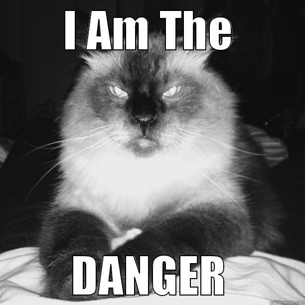 I AM THE DANGER Misc
