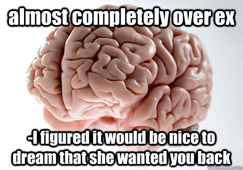 almost completely over ex -I figured it would be nice to dream that she wanted you back  Scumbag Brain