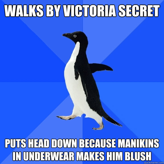 Walks by Victoria Secret Puts head down because manikins in underwear makes him blush  Socially Awkward Penguin