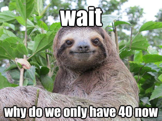 wait why do we only have 40 now  Stoned Sloth