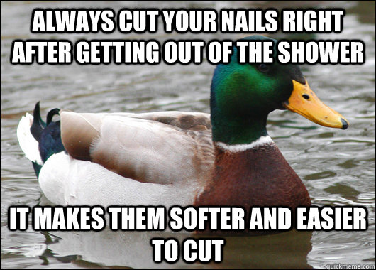 Always cut your nails right after getting out of the shower It makes them softer and easier to cut - Always cut your nails right after getting out of the shower It makes them softer and easier to cut  Actual Advice Mallard