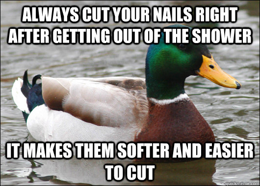 Always cut your nails right after getting out of the shower It makes them softer and easier to cut  Actual Advice Mallard