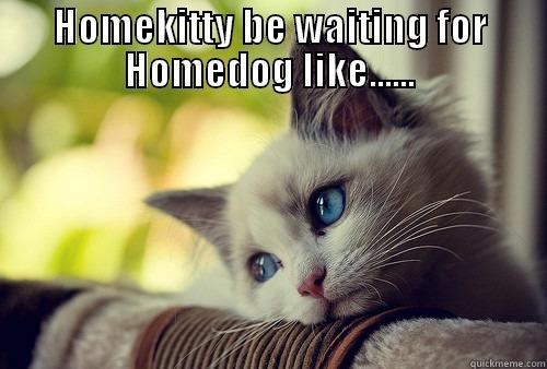 HOMEKITTY BE WAITING FOR HOMEDOG LIKE......  First World Problems Cat