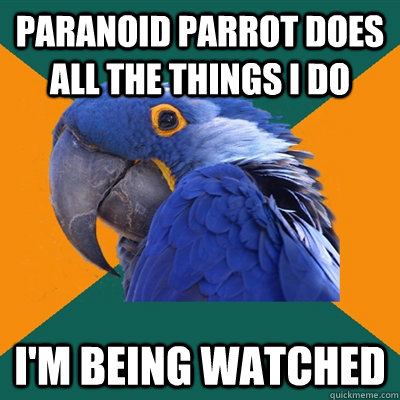 paranoid parrot does all the things I do i'm being watched  Paranoid Parrot