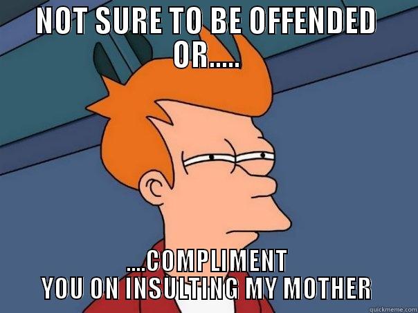 WOW...WELL PLAYED - NOT SURE TO BE OFFENDED OR..... ....COMPLIMENT YOU ON INSULTING MY MOTHER Futurama Fry