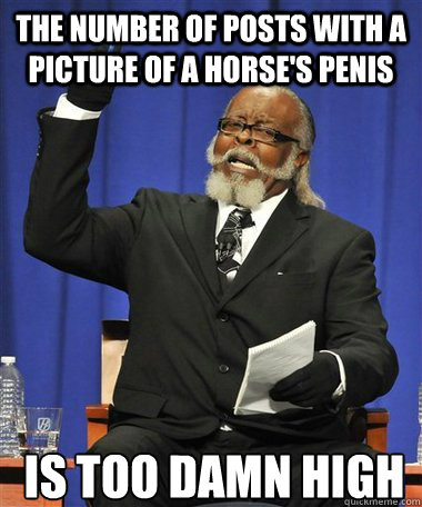 The number of posts with a picture of a horse's penis Is too damn high  