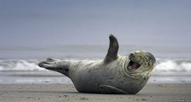 
  - 
   Sarcastic Laugh Seal