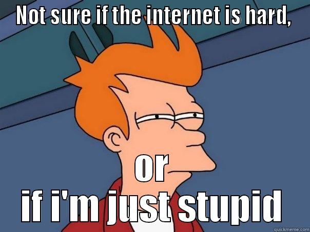 NOT SURE IF THE INTERNET IS HARD, OR IF I'M JUST STUPID Futurama Fry