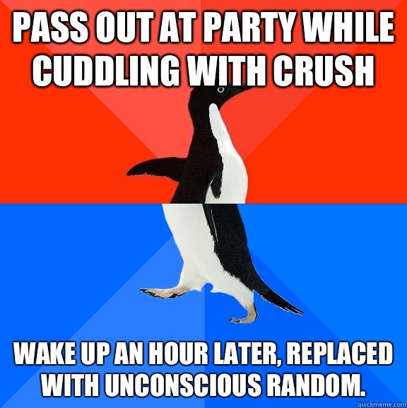 Pass out at party while cuddling with crush Wake up an hour later, replaced with unconscious random.  Socially Awesome Awkward Penguin