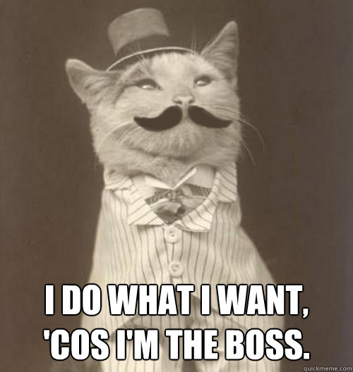  I do what I want,
'cos i'm the boss.  Original Business Cat