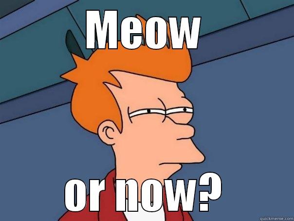 MEOW OR NOW? Futurama Fry