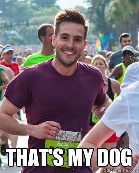  That's my dog  Ridiculously photogenic guy