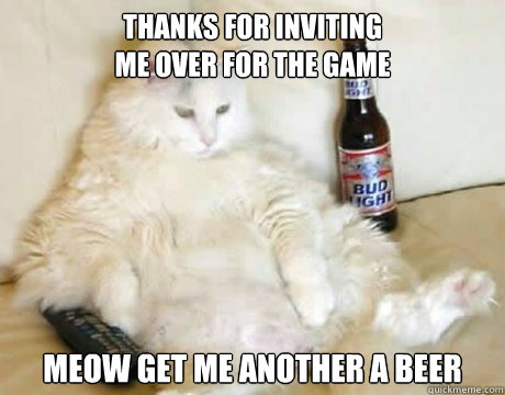 thanks for inviting                                    me over for the game meow get me another a beer - thanks for inviting                                    me over for the game meow get me another a beer  Lazy cat