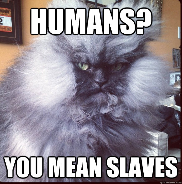 humans? you mean slaves  