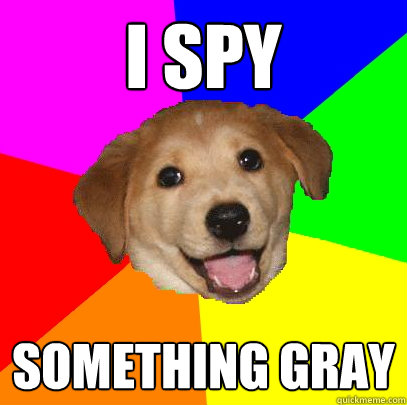 I spy something gray - I spy something gray  Advice Dog