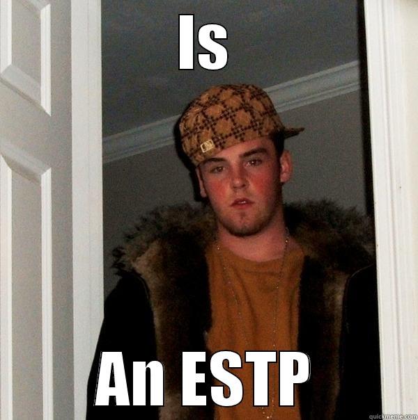 IS AN ESTP Scumbag Steve