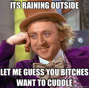 ITS RAINING OUTSIDE LET ME GUESS YOU BITCHES WANT TO CUDDLE  Condescending Wonka