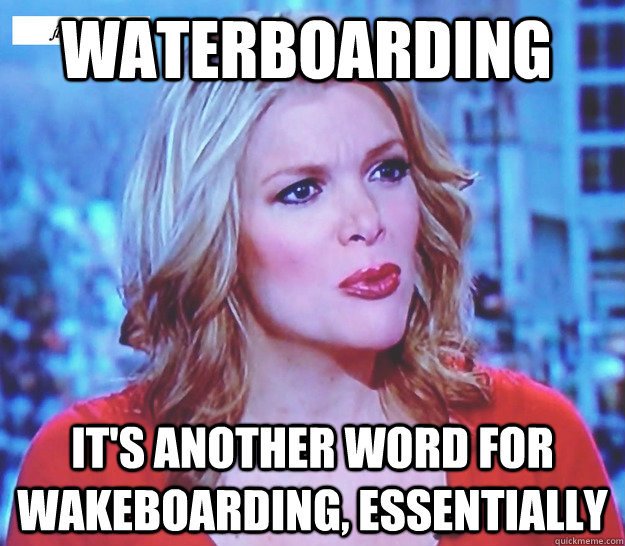 Megyn Kelly on Waterboarding memes quickmeme