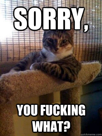Sorry, you fucking what?  The Most Interesting Cat in the World
